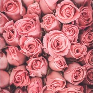 Meet your Posher, Elisa